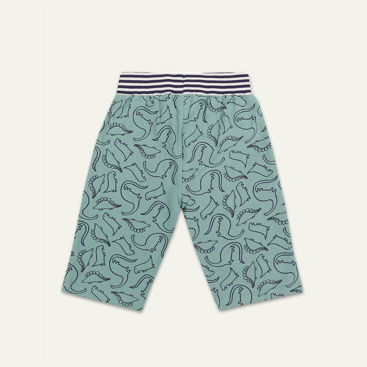 printed board shorts - dino