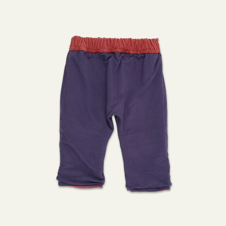 organic cotton Multicoloured Badger Applique Top And Trouser Set - image 3