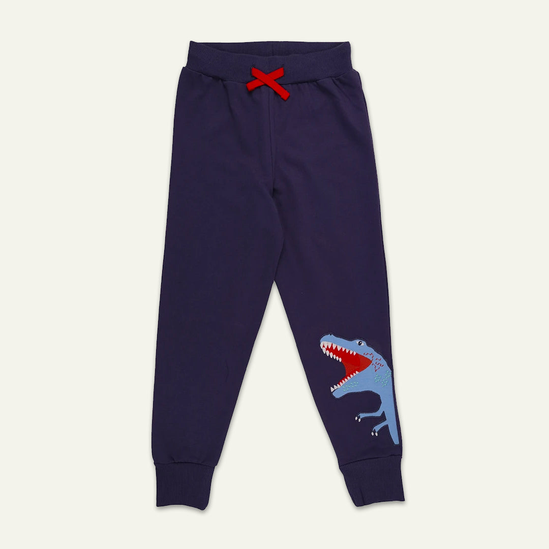 organic cotton Navy Dinosaur Applique Joggers - image 1